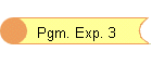 Pgm. Exp. 3