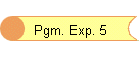 Pgm. Exp. 5