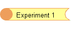 Experiment 1