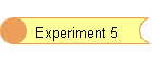 Experiment 5