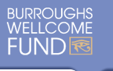 all_header_logo