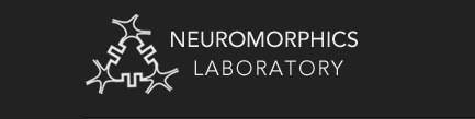 neuromorphics