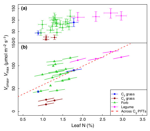 Scale-dependence of leaf N vs Vcmax