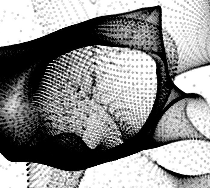 Pasted Graphic 1